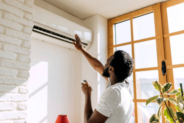 Best Ductless Mini-Split Systems in Flat Rock, NC